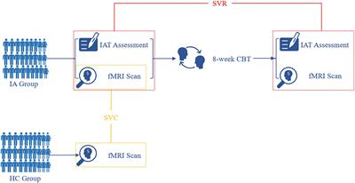 Identifying Internet Addiction and Evaluating the Efficacy of Treatment Based on Functional Connectivity Density: A Machine Learning Study